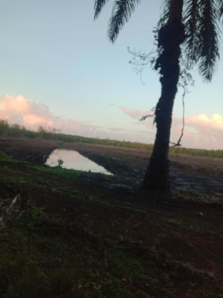 Kota Bengkulu