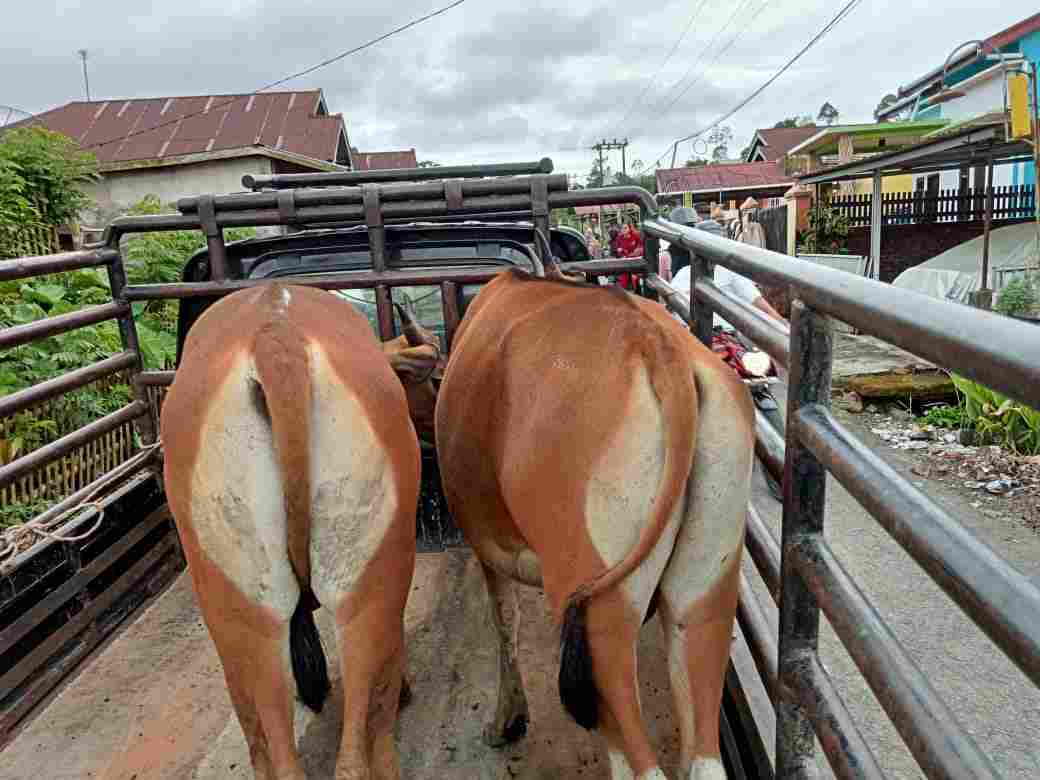 Kota bengkulu